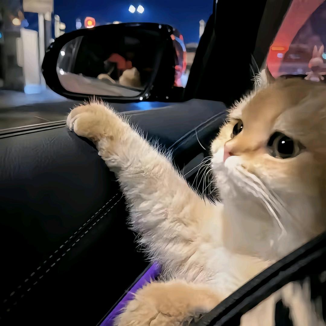 🍡