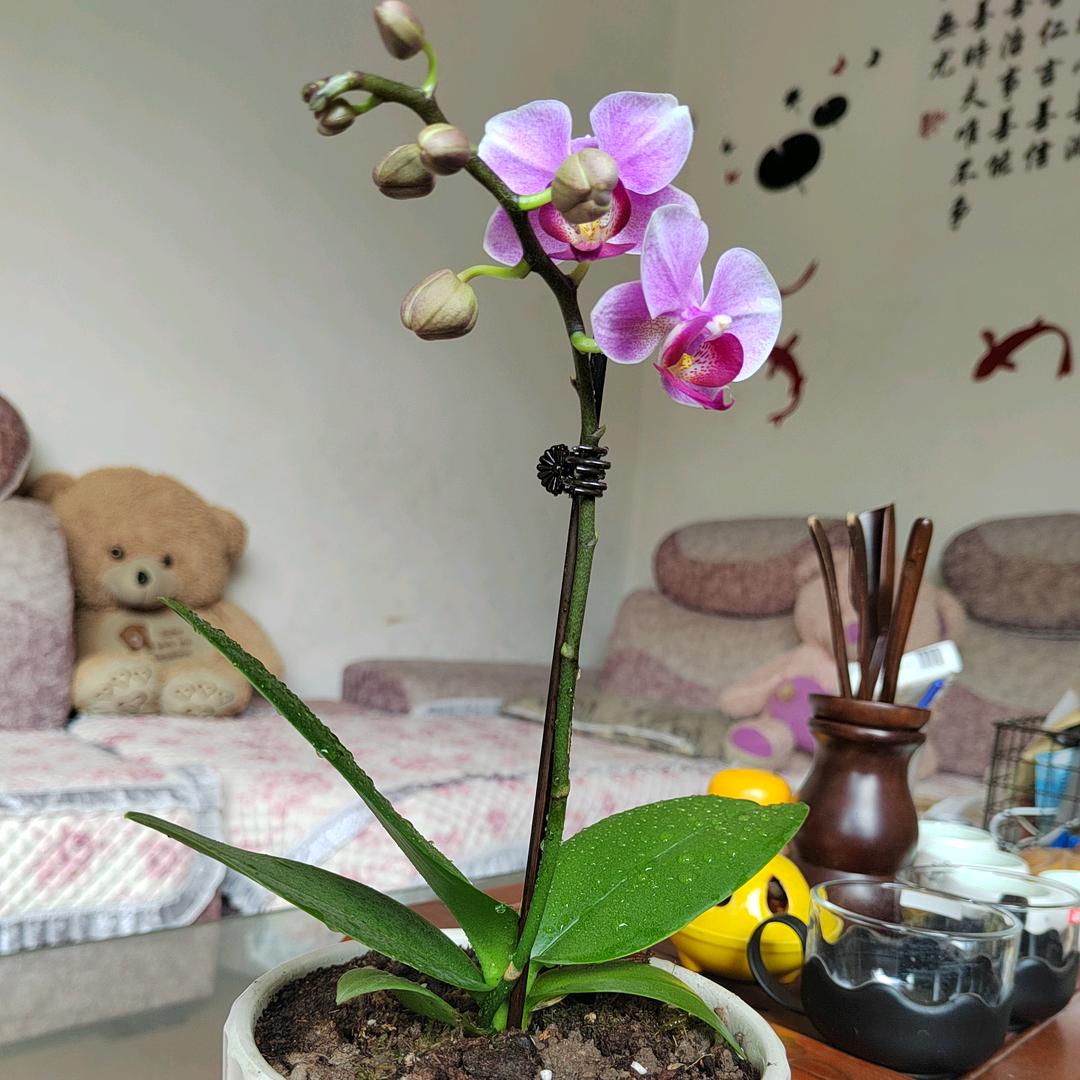 少年~向钱进！