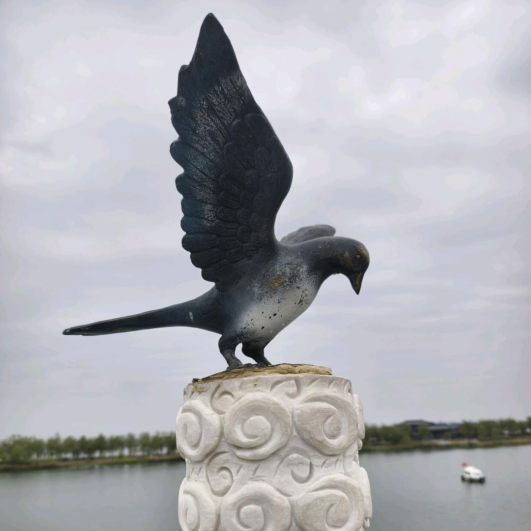林子 &
