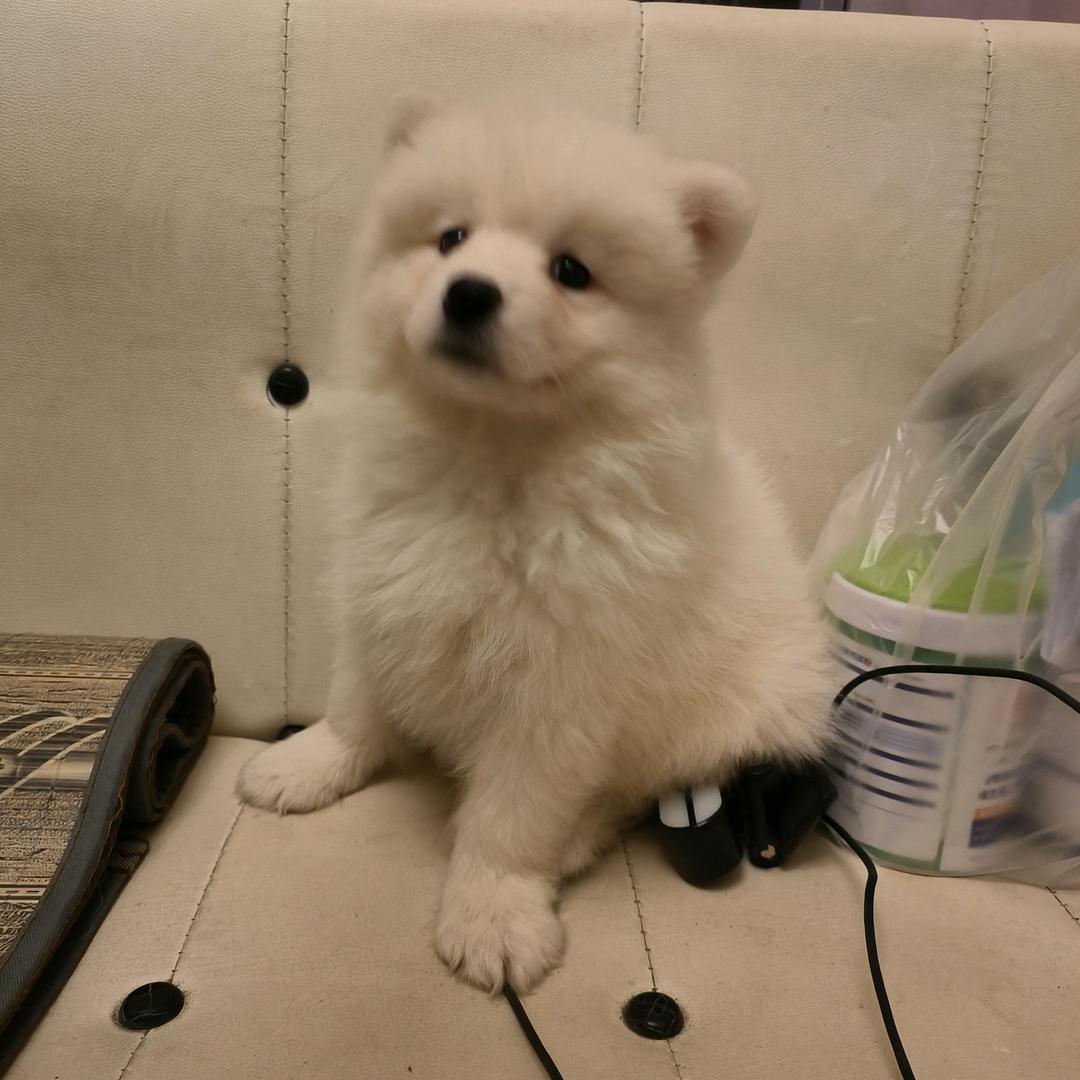 琳妹妹wo