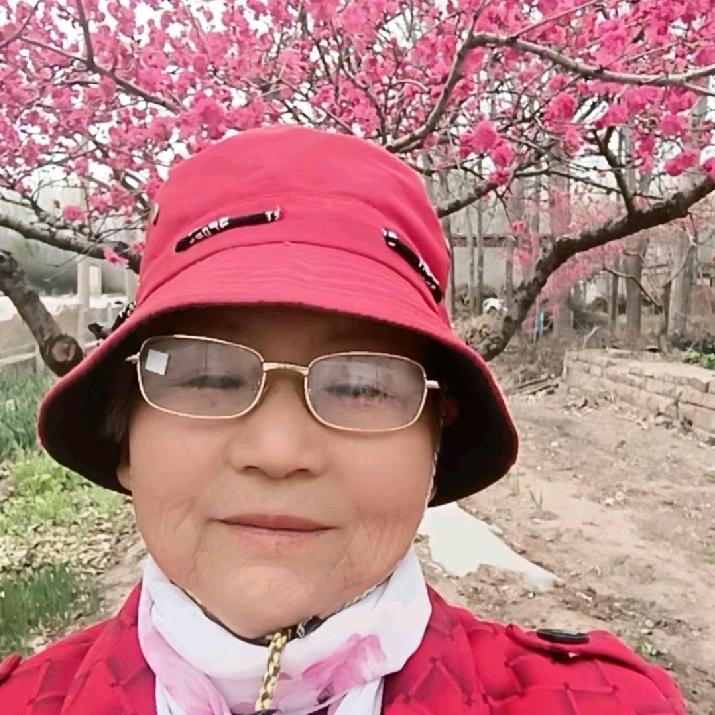 陈四姐(首播每天上午11.40开始)