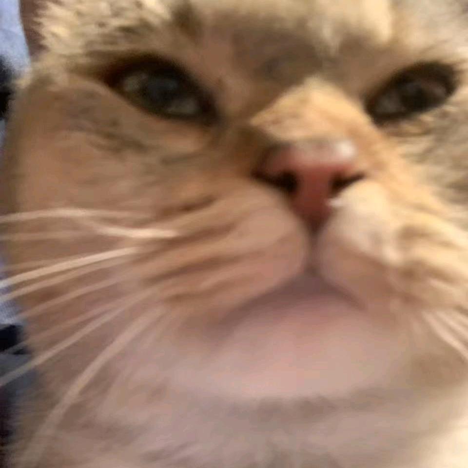 长庚