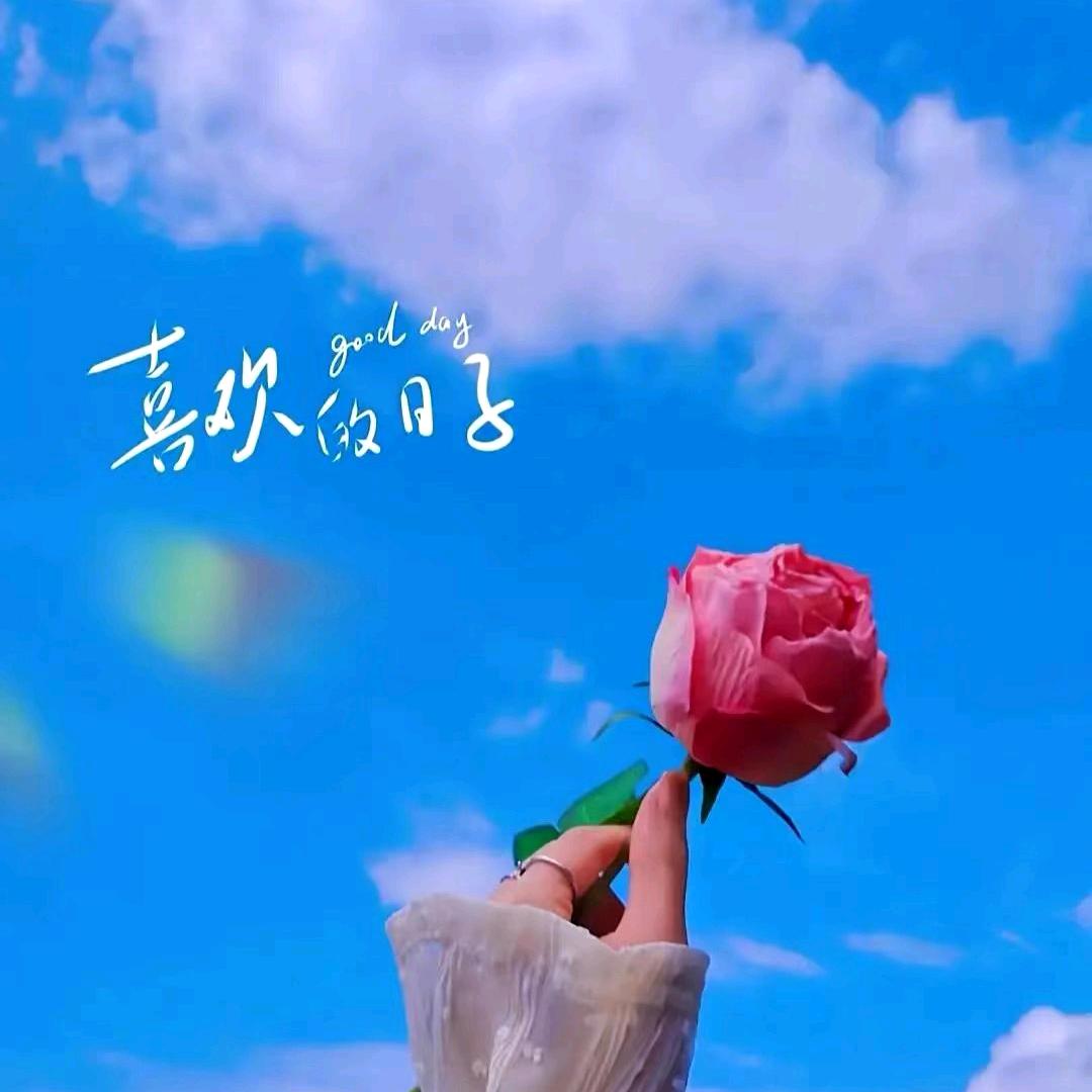 35路司机