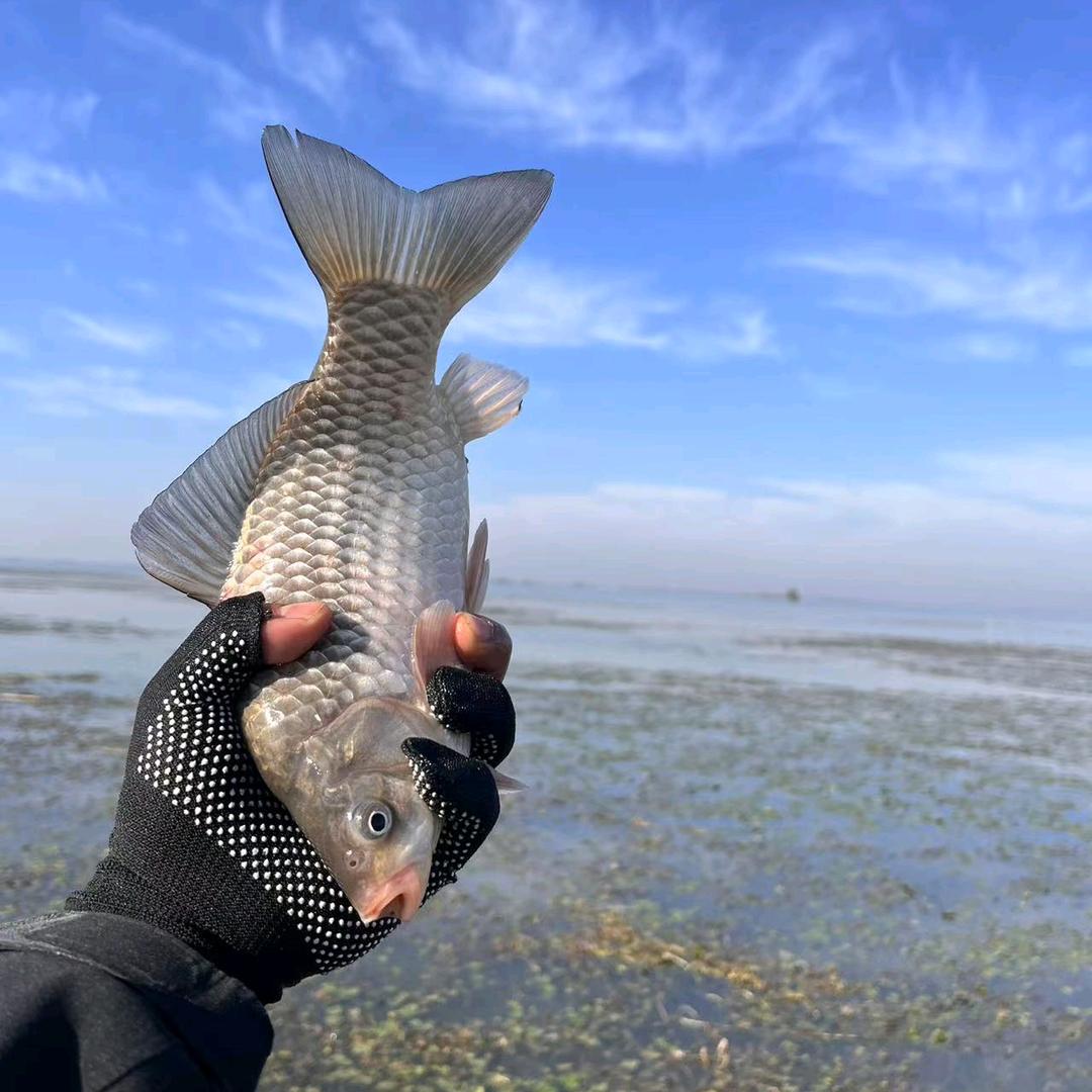 文之熙户外钓鱼