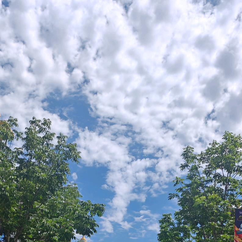 ～那个女孩～🌼