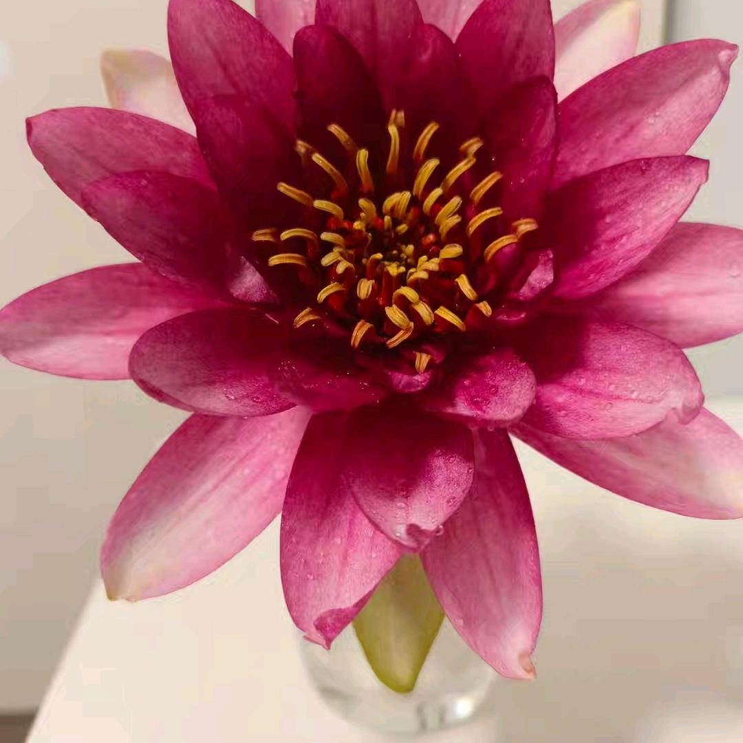 缔造魅力