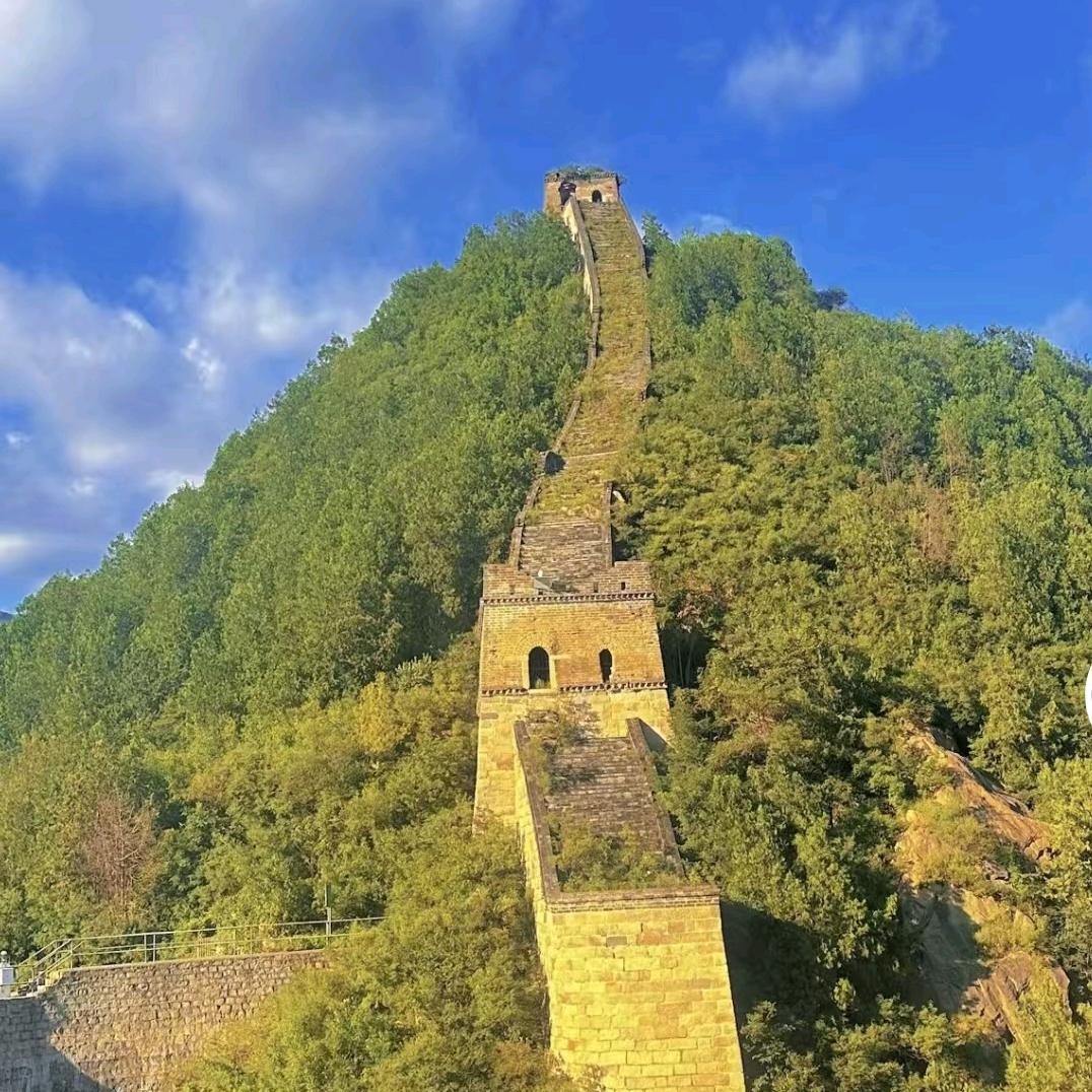 蟹天下