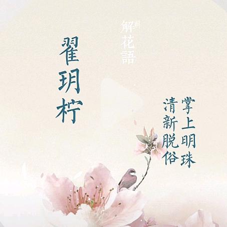 小柠檬的快乐生活号