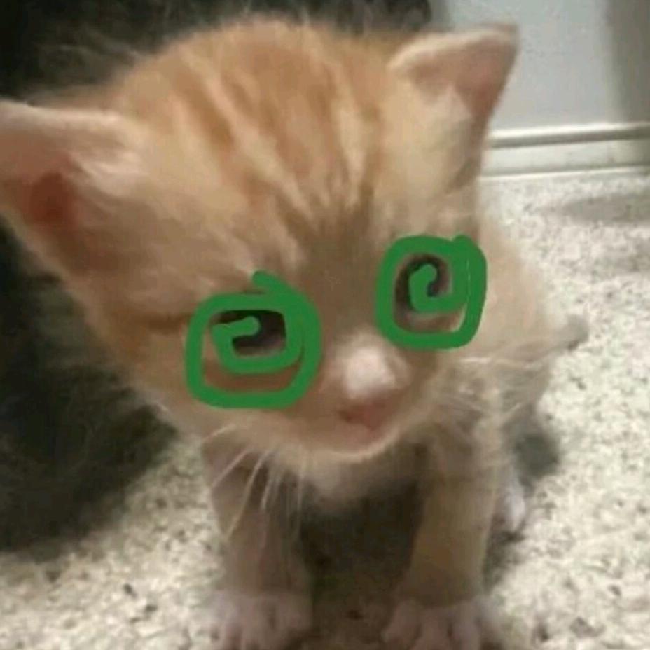 孙少
