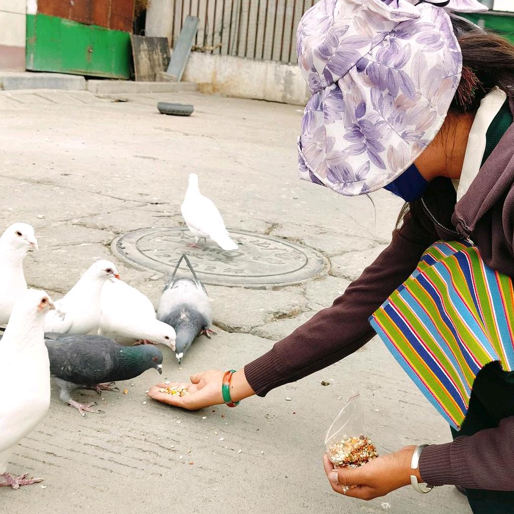 ꧔ꦿ᭄ 心ঞᩚ己冷🥀