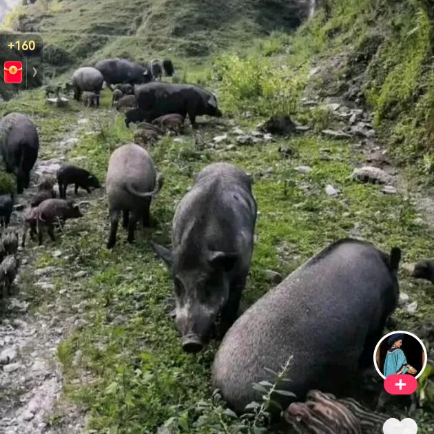 返乡创业小伙伴