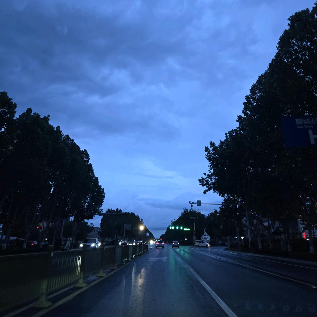 马大大°