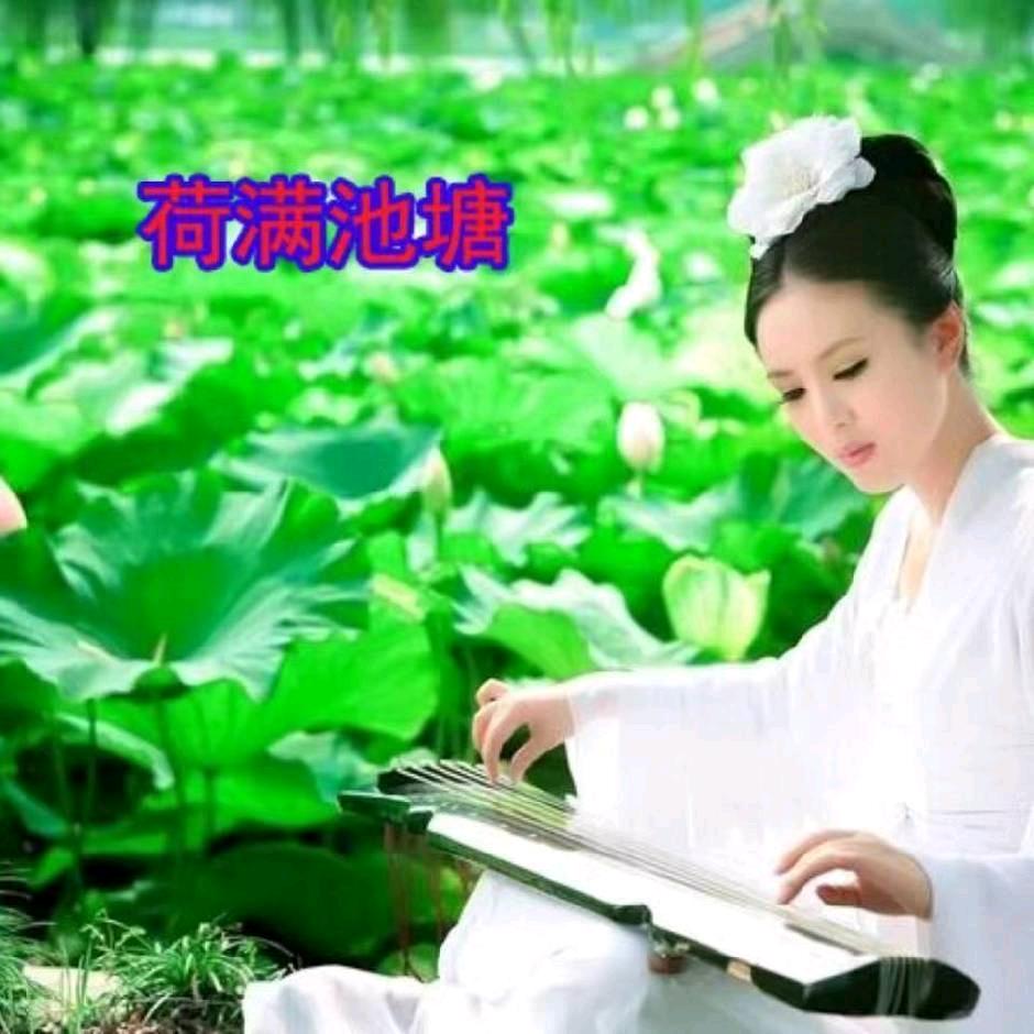 荷满池塘霞光
