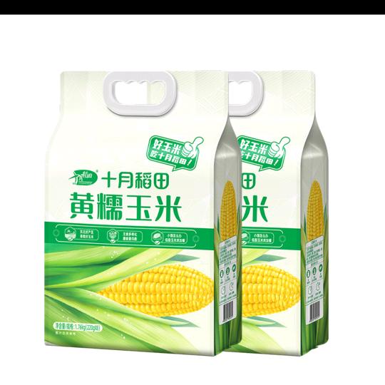 十月稻田糯玉米
