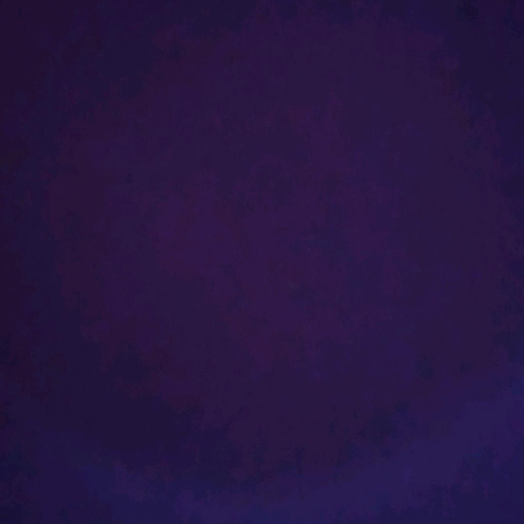 人间天熊