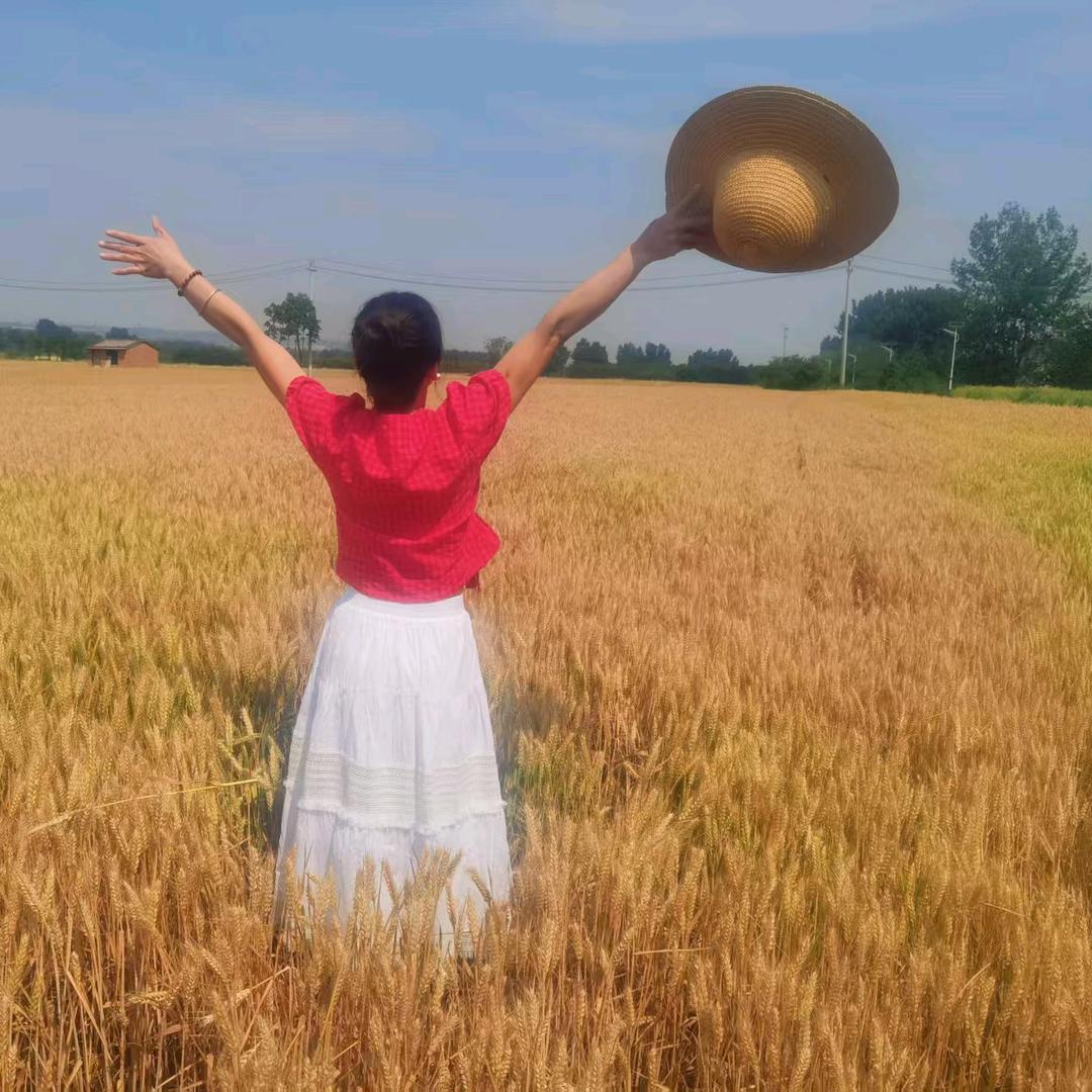 那些花儿