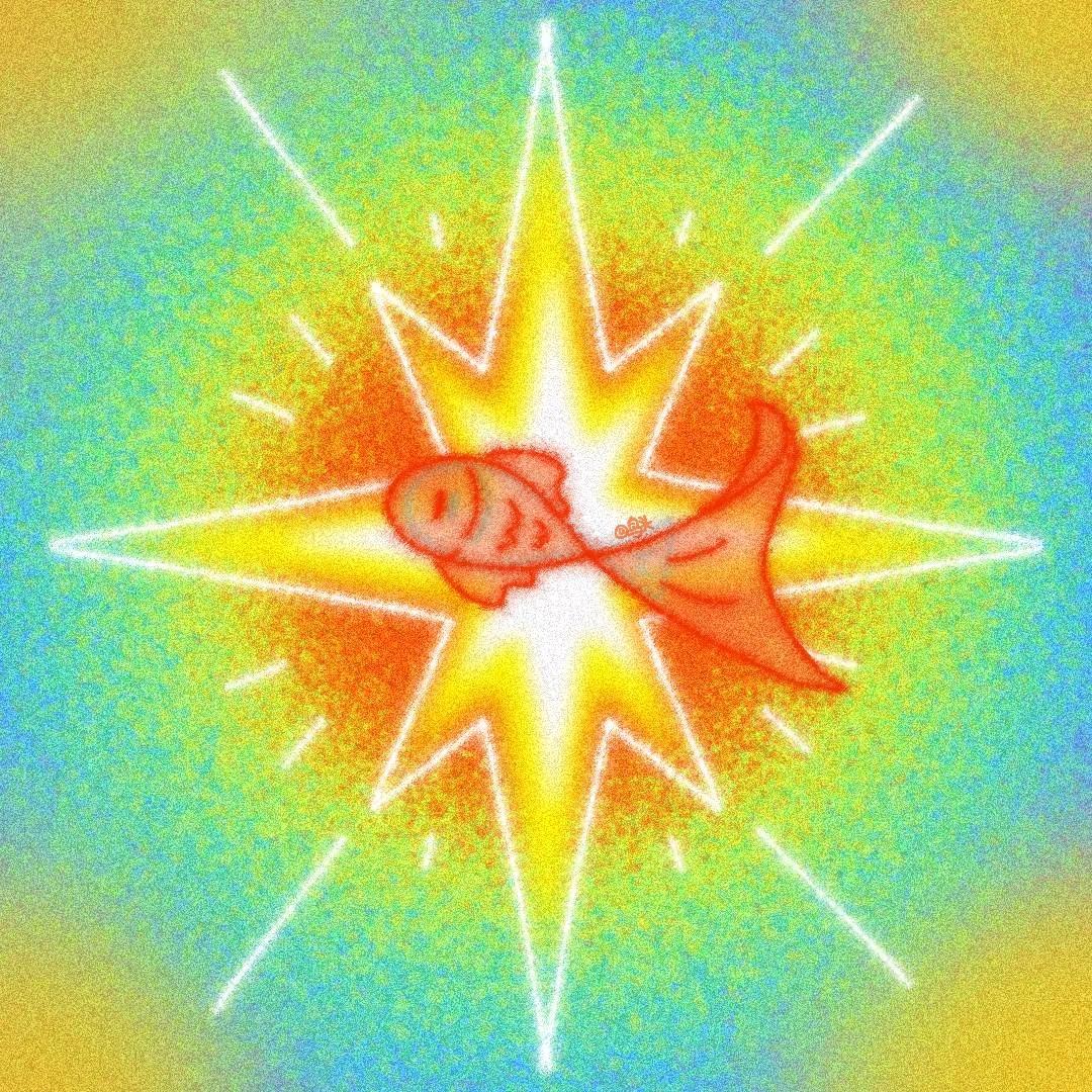鱼🐟