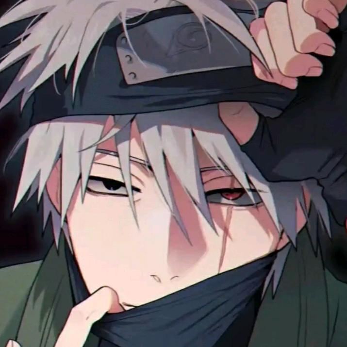 旗木卡卡西（一一姐弟弟版）