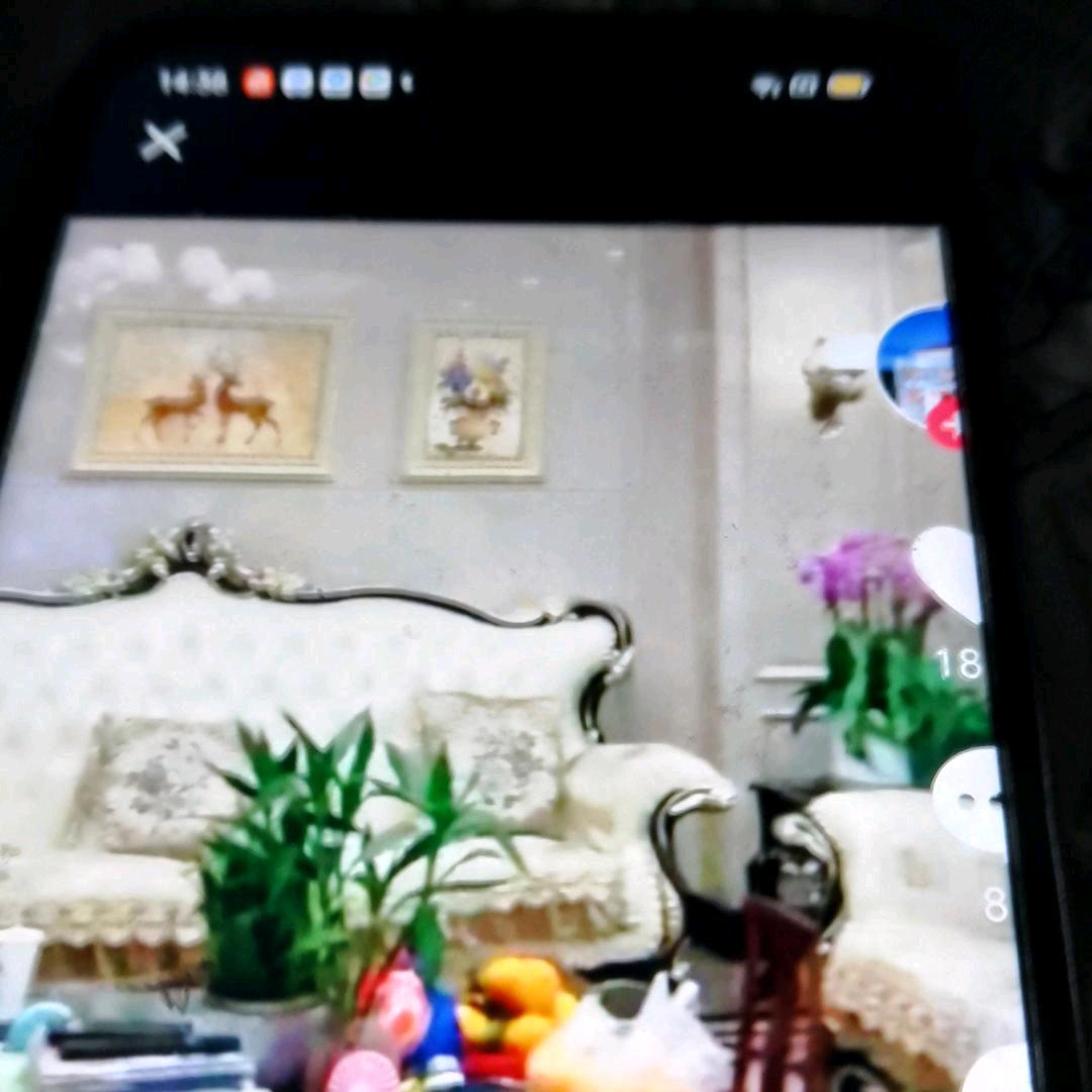 甜蜜的一天
