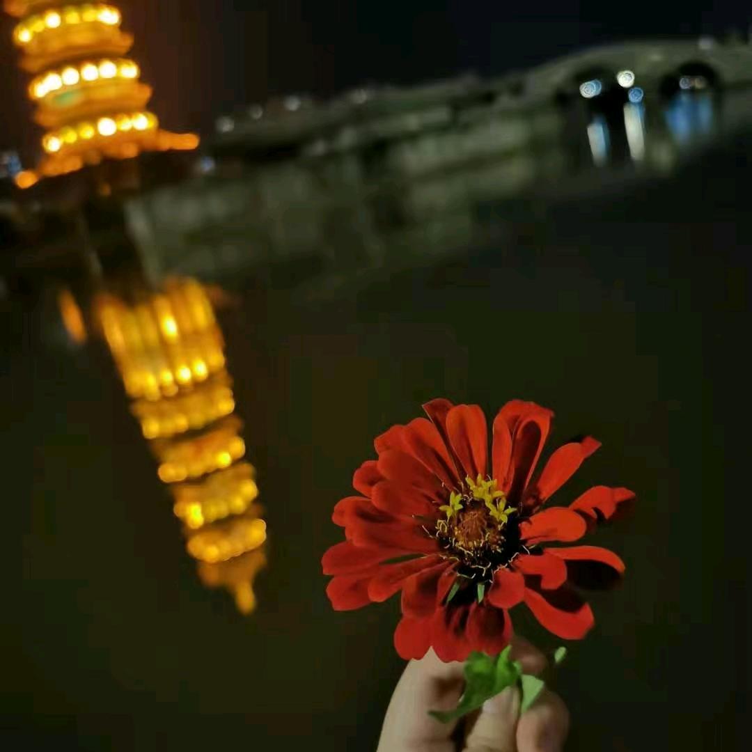 老来俏