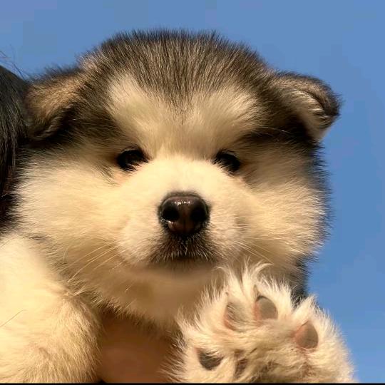 阑欣装璜(宜都商城店)口红直播间