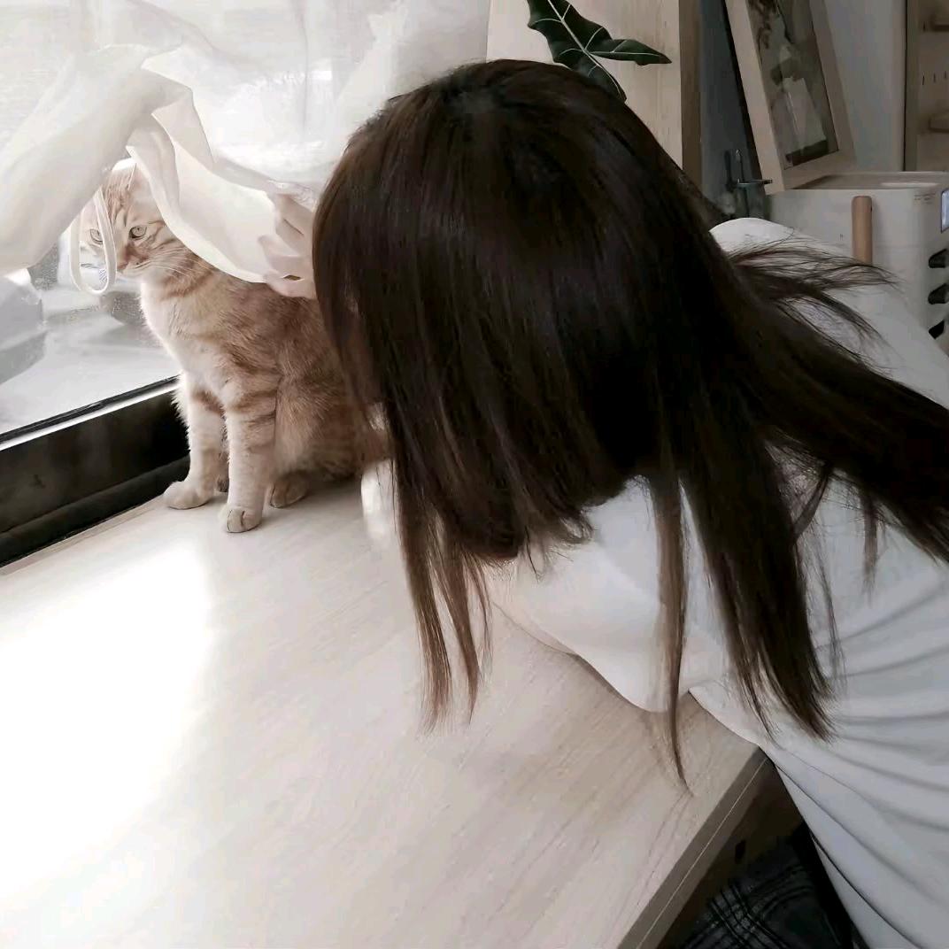 月月教