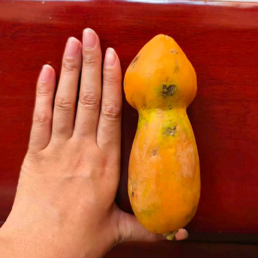 戈美蕊助力