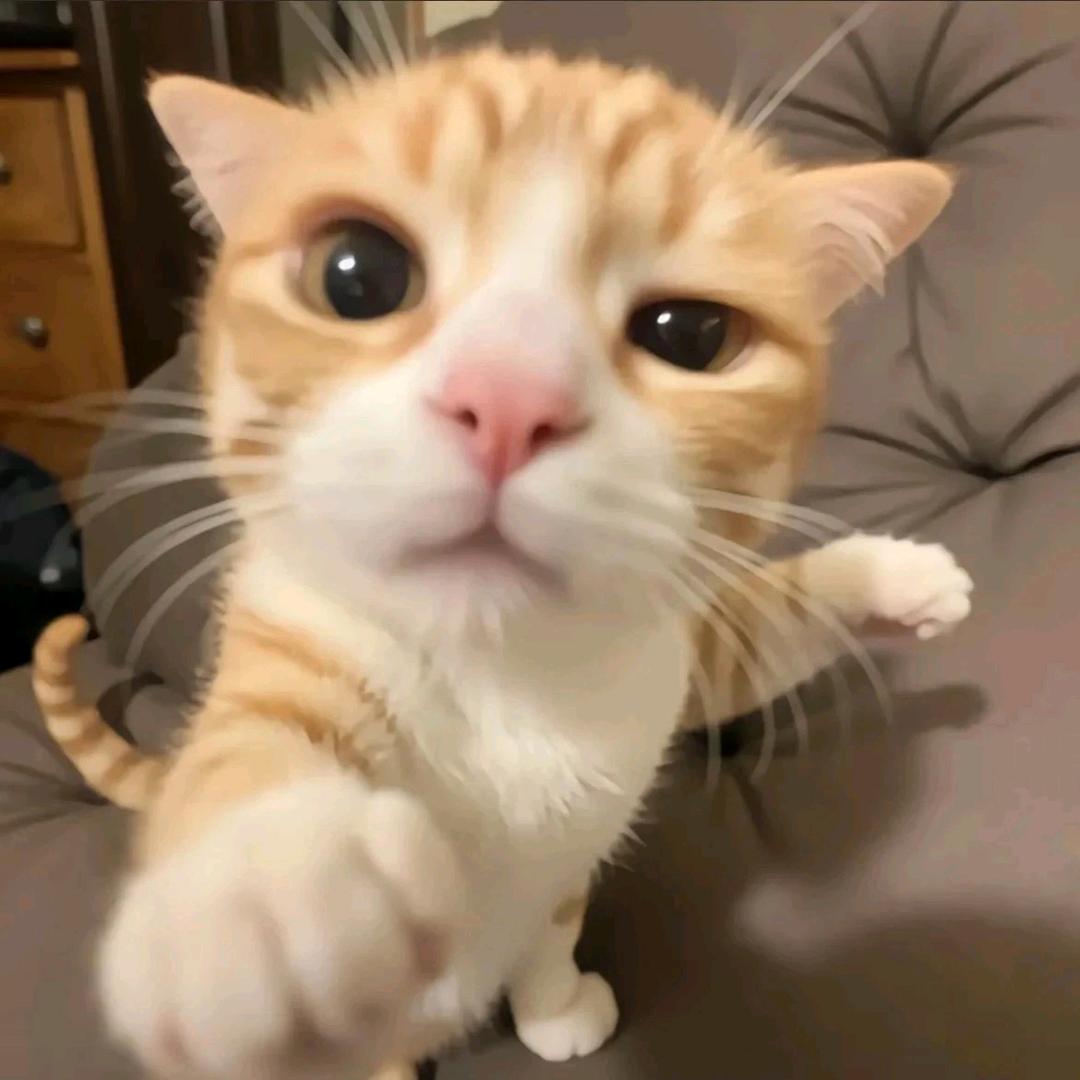 你比晚风温柔