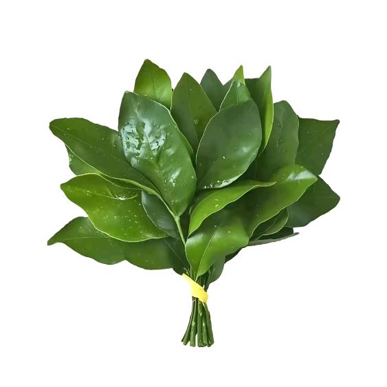 炸薯条