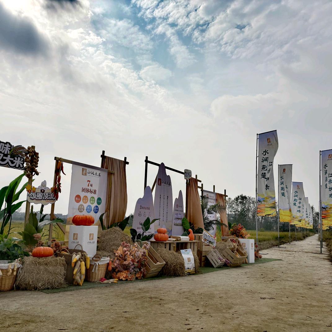 石家河河润香米