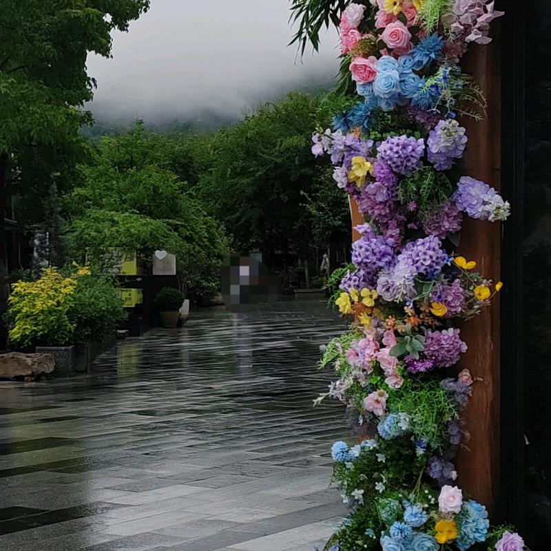 花梦