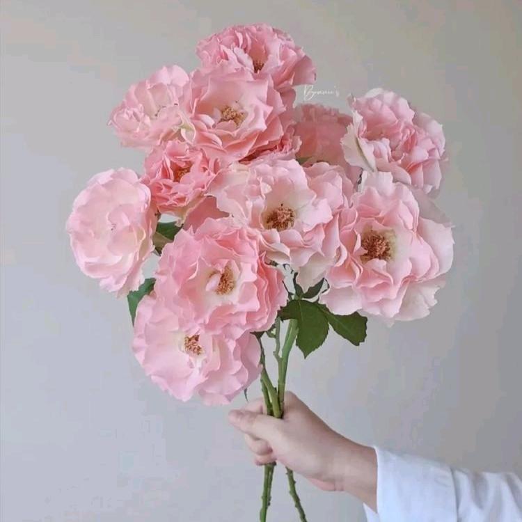 爱与家如琴源欣