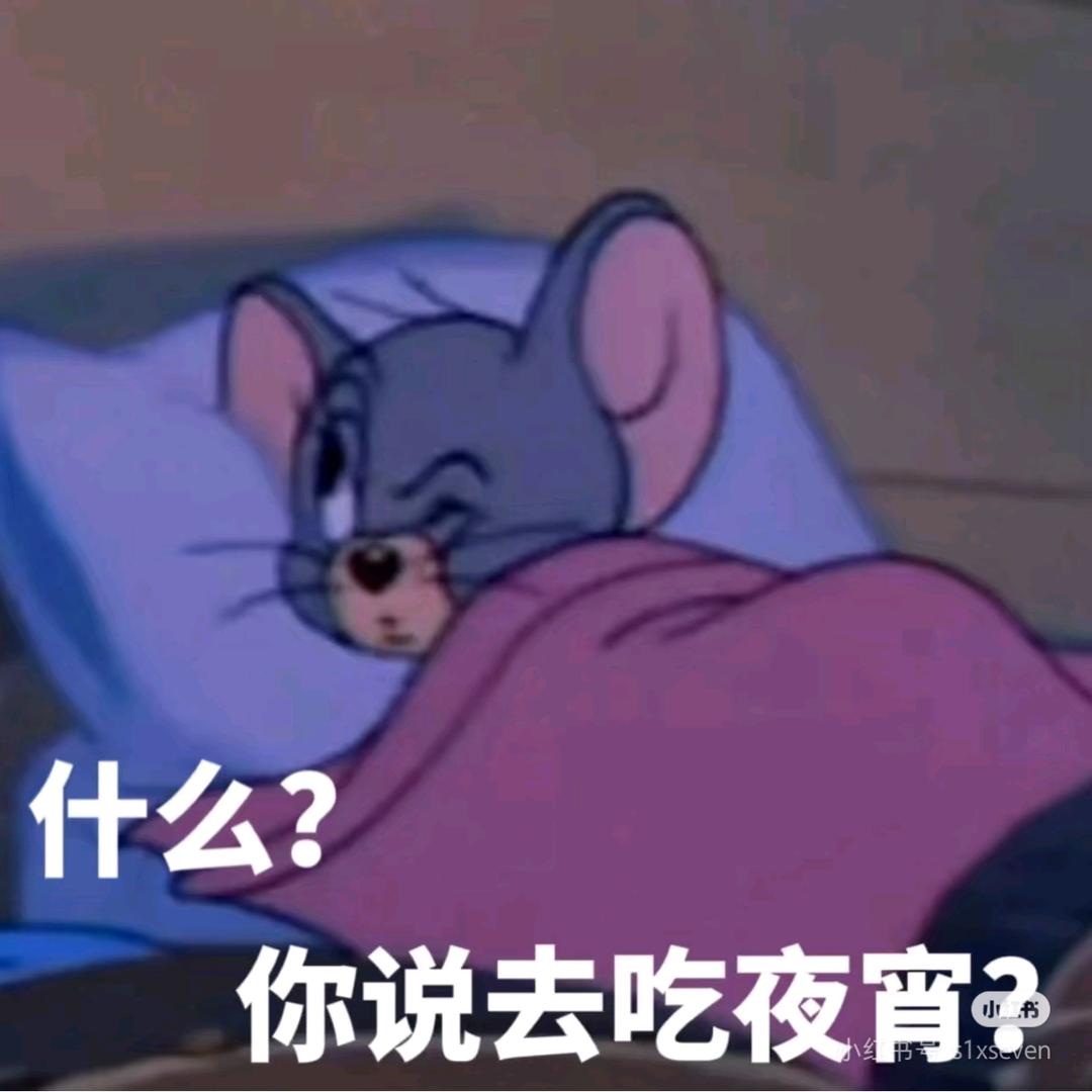载梦压星河