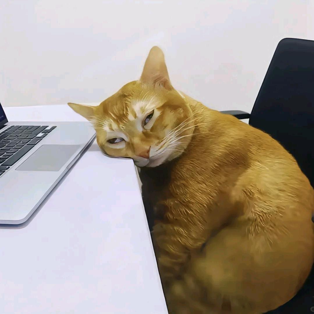 caslovehere