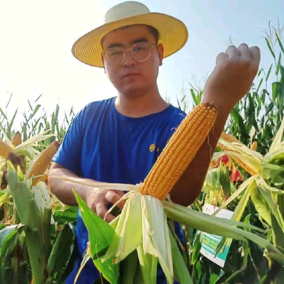 富吉泰种业赵书远
