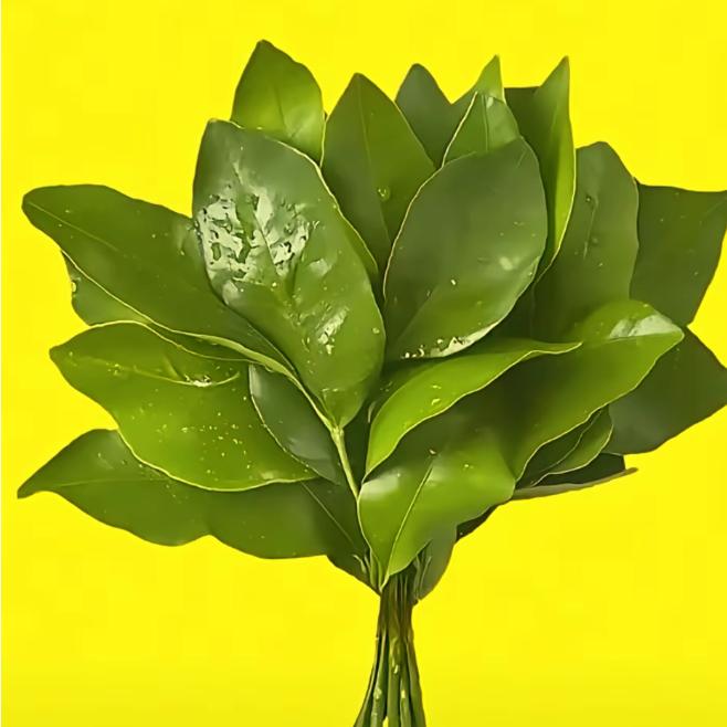 致青春
