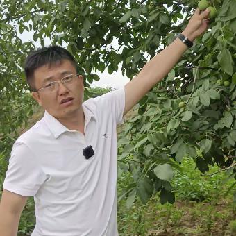 古交市选派支部书记助农