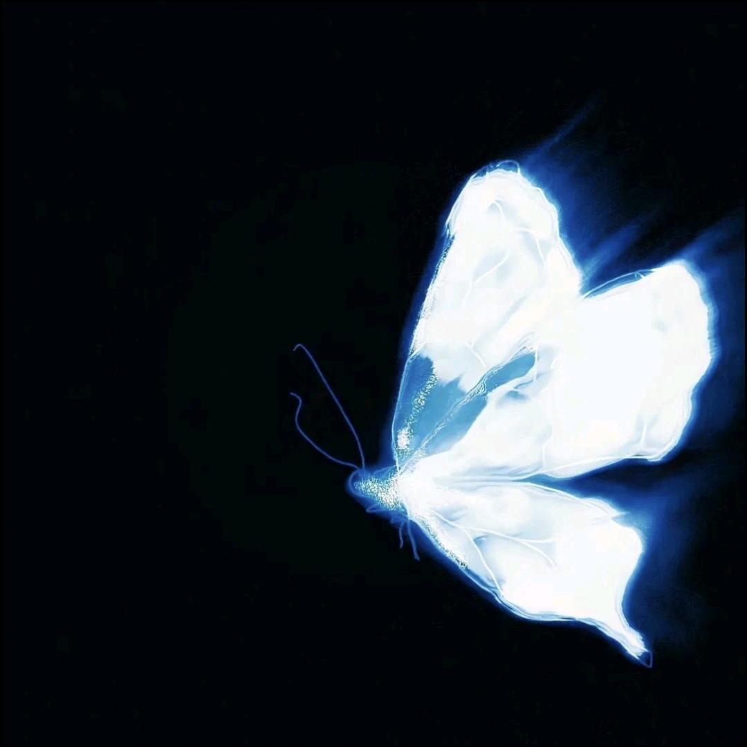 苦方