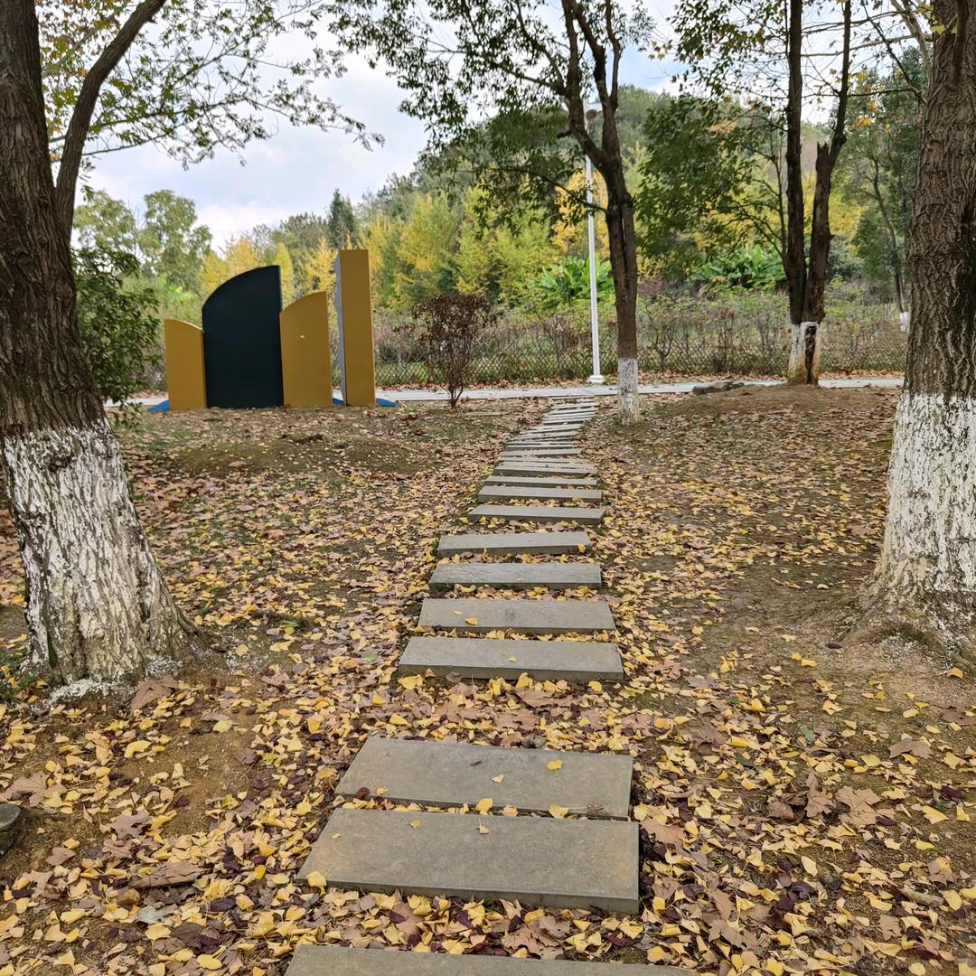 🔎青春1️⃣去是沧桑