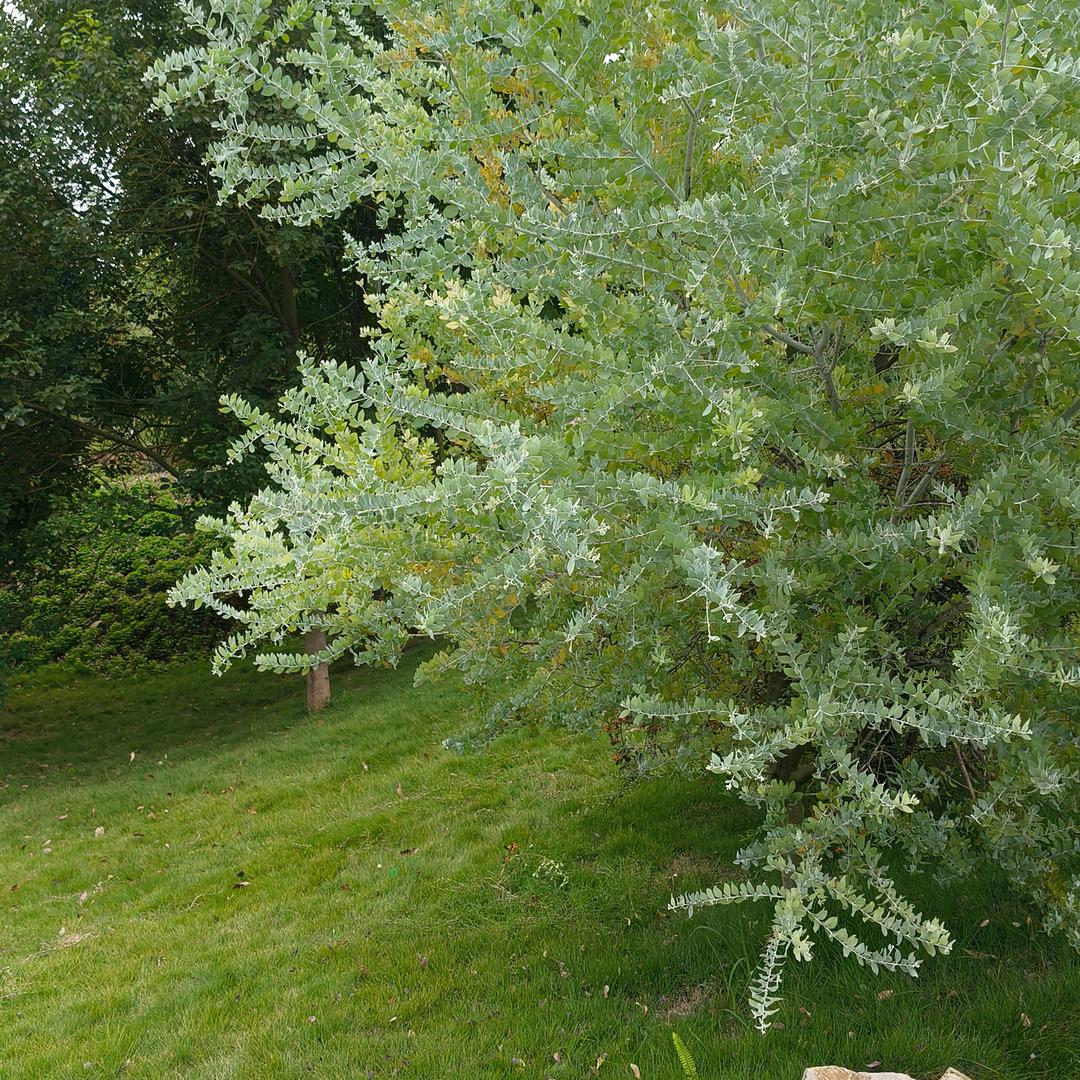 英姐晚上20点10分