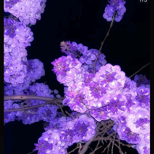 用皮卡丘当电焊工结果被抓去做s的那个雨夜