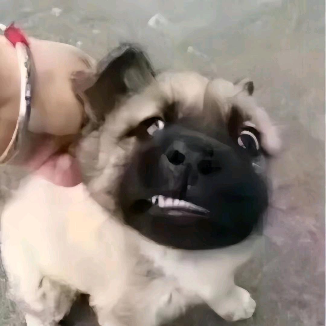 悲伤