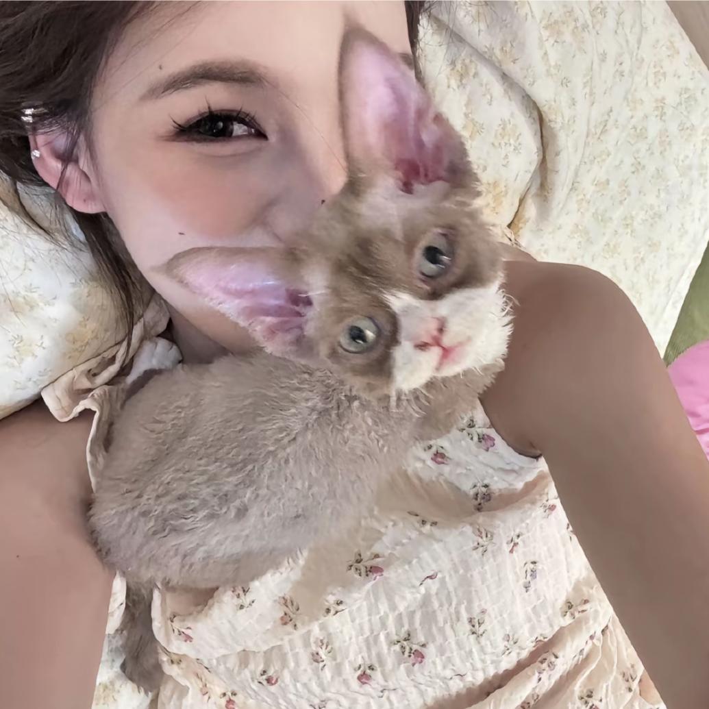 ㅤㅤㅤㅤㅤ￴￴