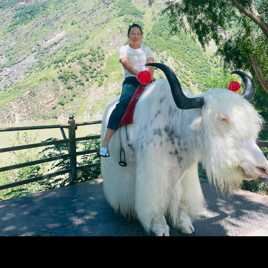 🐯福🌻多🌸财🌸多🌺