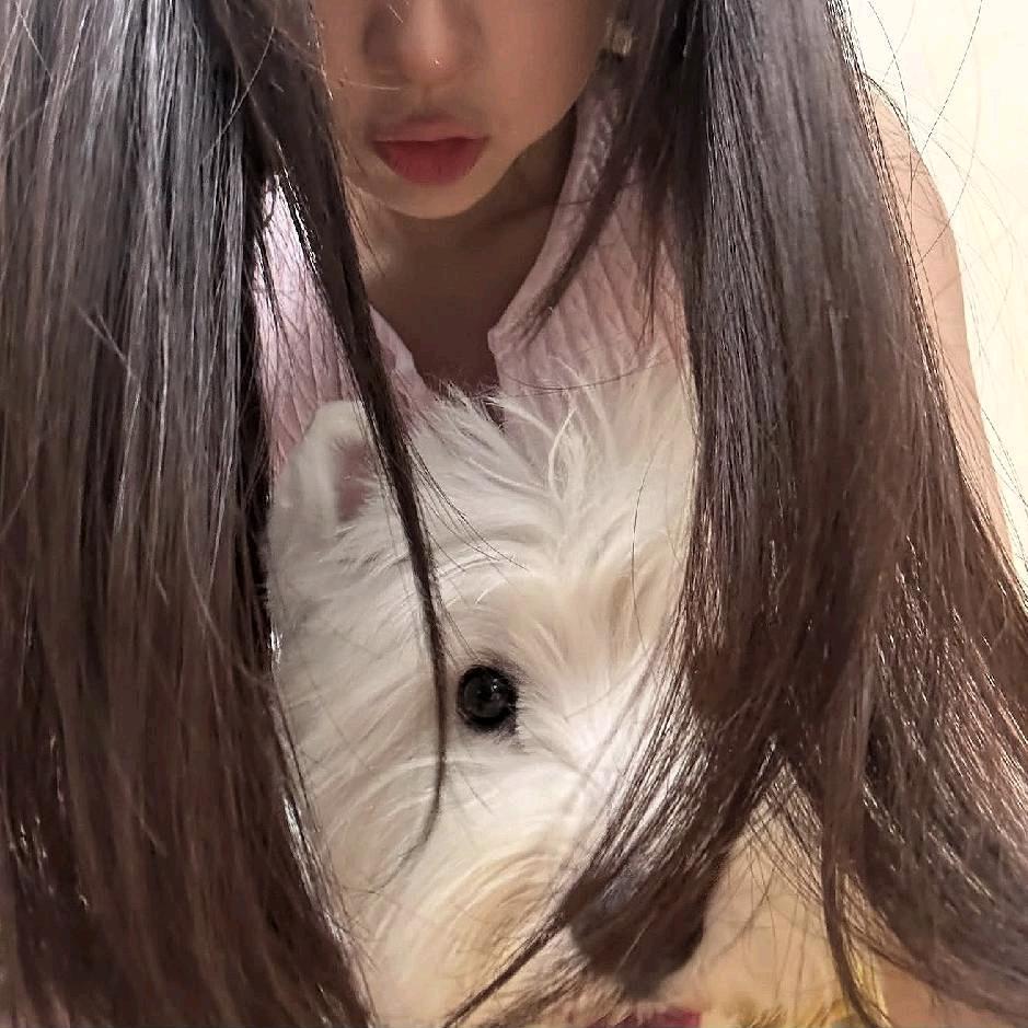 小猫日记的跟班