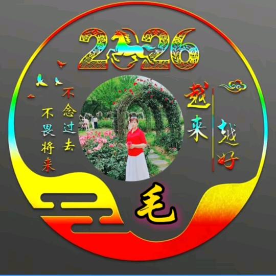 追求完美[66年冬月马🐎]