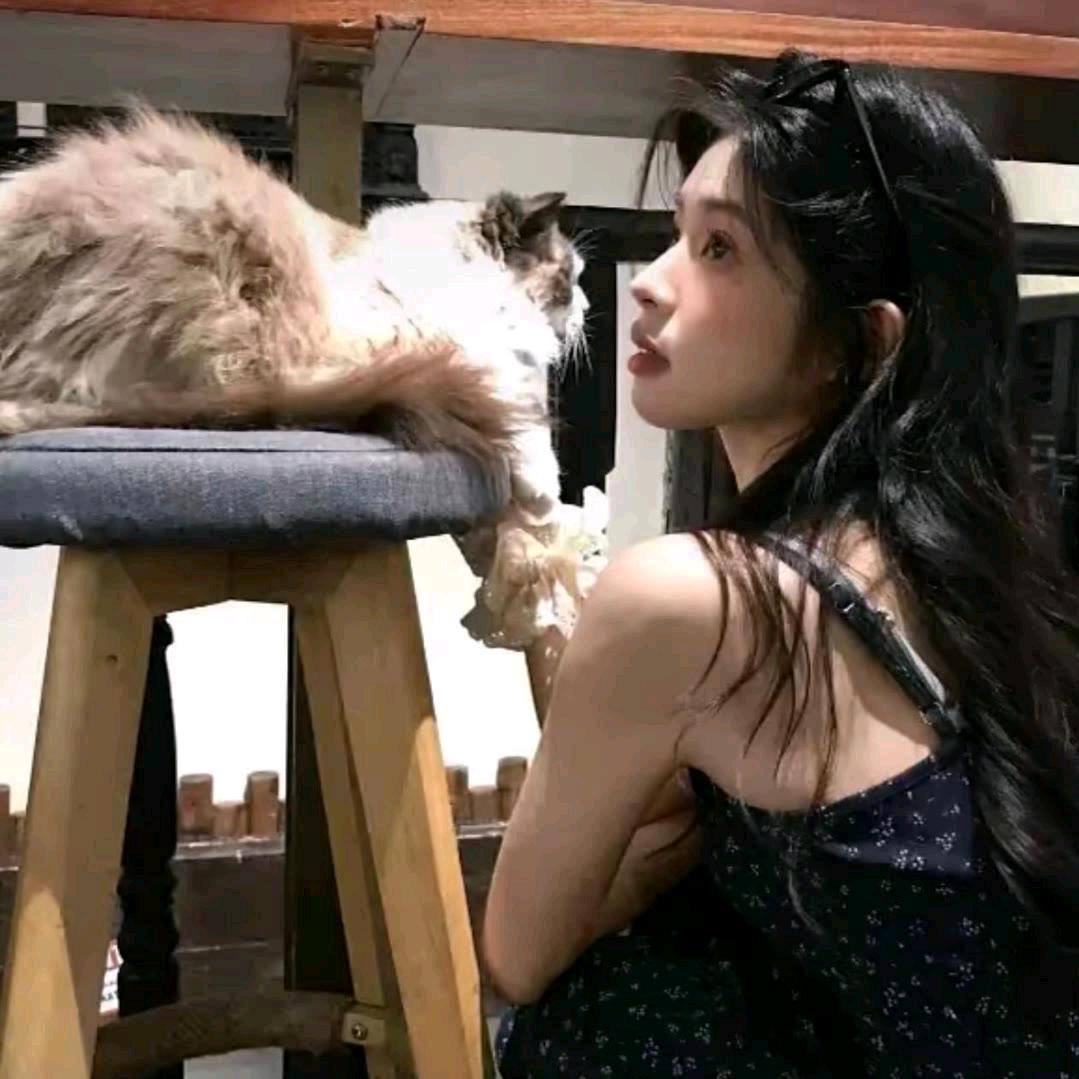 摆烂小鱼💦