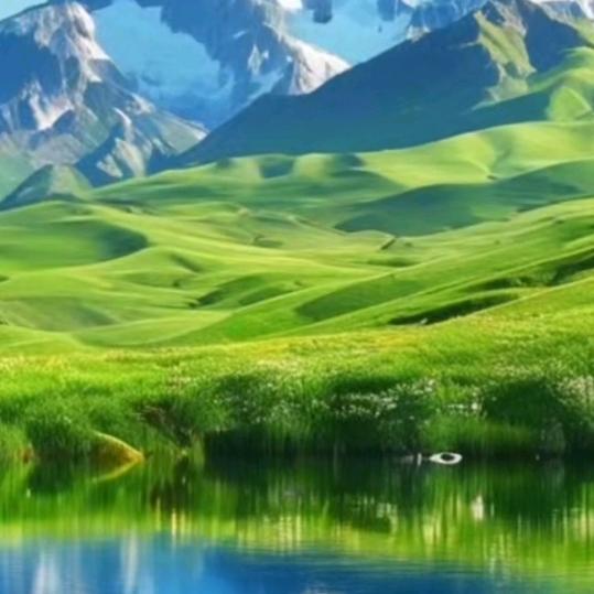 静心如愿🍀🍀郭