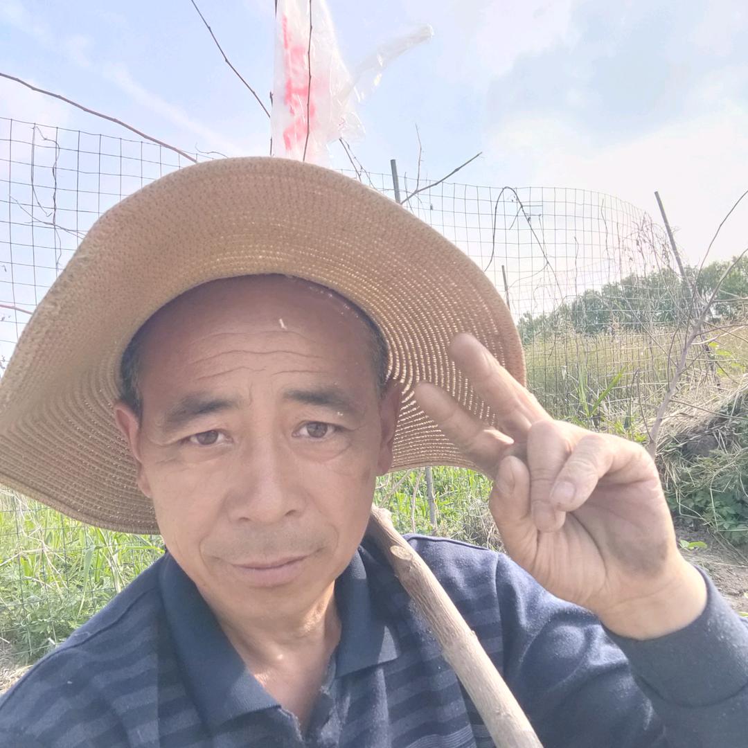 苏北阿三