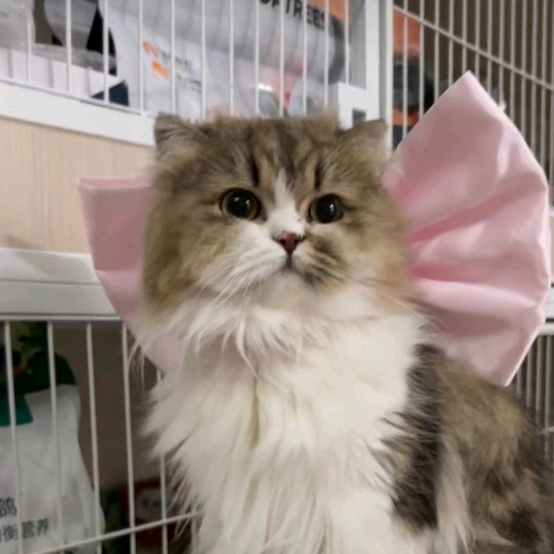 歪♬♪